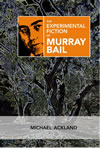 The Experimental Fiction of Murray Bail  